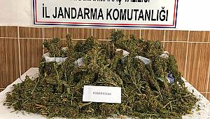 Otomobilde uyuşturucu sevkiyatına jandarma engeli 