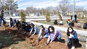 Afşin Belediye Başkanı Güven öğrencilerle lavanta dikti 