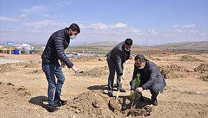 Afşin'de fidan dikildi 