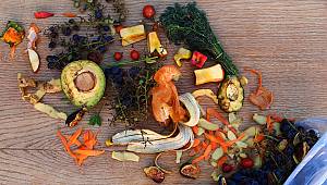 Her Yıl 931 Milyon Ton Gıda Çöpe Gidiyor 