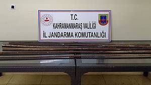 Kahramanmaraş’ta bağ evi hırsızı yakalandı 