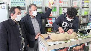 Kahramanmaraş'ta kuyruğu kesilmiş halde bulunan köpek yavrusu tedavi edilecek