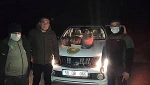 Kahramanmaraş’ta yaban hayatı fotokapanla adım adım izleniyor