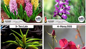 Başkan Mahçiçek, “EXPO 2023 Sembol Çiçekleri Arasına Lavantayı da Dahil Ediyoruz” 