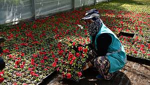Elbistan Belediyesi şehri rengarenk yapmaya başladı 