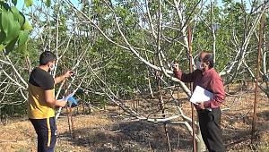 İlk defa Kahramanmaraş’ta üretildi 