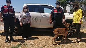 Jandarma ekipleri fark etmeseydi ölecekti 