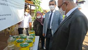 Kahramanmaraş’ta Antep fıstıkları biyoteknikle korunuyor 