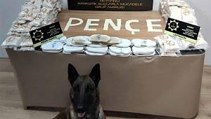 Uyuşturucu sevkiyatı yapıyordu yakalandı 