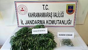 Evinin çatısında kenevir yetiştirdi jandarmadan kaçamadı 