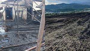 Kahramanmaraş’ta 200 dekar buğday tarlasıyla besi ahırı kül oldu 