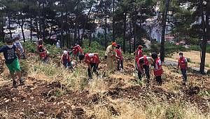 Kahramanmaraş’ta şehitlerin adı fidanlarla yaşayacak