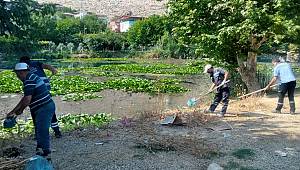Nilüfer Çiçekleri Atıklardan Kurtarıldı 