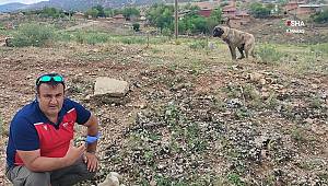 Aracın ezdiği yavrusunun yanı başından bir dakika olsun ayrılmadı 