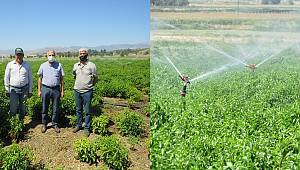 Bireysel Sulama Sistemleri Desteklemeleri Kapsamında Yürütülen Projeler İncelendi 