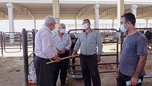 Canlı Hayvan Borsasında ‘Kontrollü’ Satışlar Başladı 