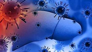 Doç. Dr. Fatma Gümüşer Hepatit günü hakkında bilgilendirdi 