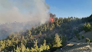 Kahramanmaraş’ta 500 dönüm ormanlık alan zarar gördü 