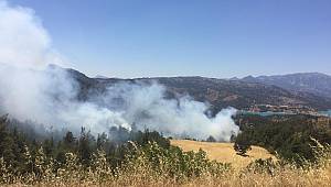 Kahramanmaraş’ta orman yangını söndürüldü 
