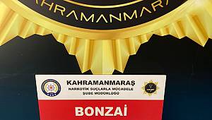 Kahramanmaraş’ta uyuşturucu satıcısı tutuklandı 
