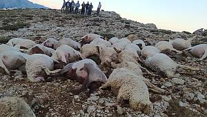 Kahramanmaraş’ta yıldırım düştü 82 koyun telef oldu 