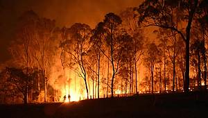 Orman Yangını İle Karşılaşınca Yapmamız Gerekenler 