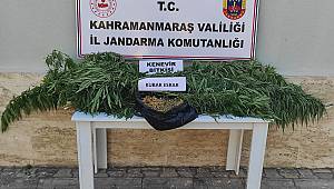 Pazarcık’ta uyuşturucu operasyonu 