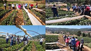 Tarım Müdürlüğünden Çiftçi İnceleme Gezisi 