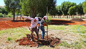 Afşin Tanır Mesire Alanı Yenileniyor 
