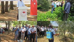 Andırın’da Zeytin Sineği İle Toplu Mücadele Tarla Okulu Programı Gerçekleştirildi 