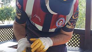 Jandarma’nın Doğa ve Hayvan Sevgisi Takdir Topladı 