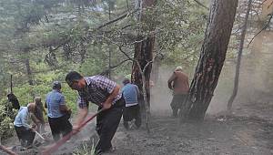 Kahramanmaraş’ta orman yangını: 14 dönüm alan zarar gördü 