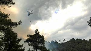 Kahramanmaraş’ta orman yangını söndürüldü 