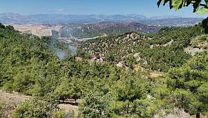 Kahramanmaraş’ta orman yangını söndürüldü 