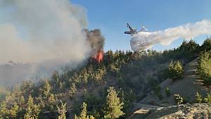 Kahramanmaraş’ta uçak düştü: 5 Rus 3 Türk hayatını kaybetti 