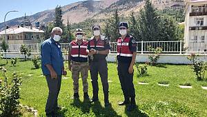 Yaralı Atmaca’ya jandarma ekipleri sahip çıktı 