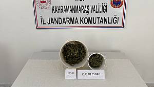 Afşin’de uyuşturucu operasyonu 