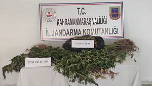 Evinin bahçesinde uyuşturucu yetiştirdi 