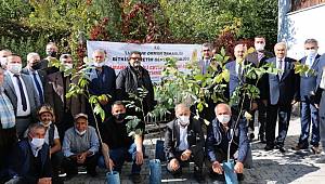 Andırın’da Ceviz Fidanı Dağıtım Töreni Düzenlendi