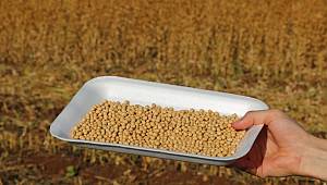 Pazarcık İlçesinde Soya Hasat Günü Düzenlendi