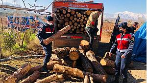 Kahramanmaraş’ta jandarma yürekleri ısıttı ...