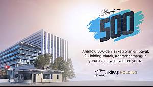 Kipaş listede en çok şirkete sahip 2. holding oldu..