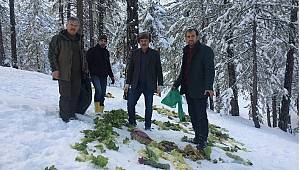 Yaban hayvanları için doğaya yem bırakıldı...