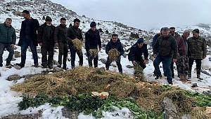 Jandarma doğa hayvanlarını unutmadı...