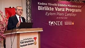 Kadına yönelik şiddetle mücadelede bir eylem planı da oluşturulacak