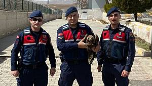 Kanadından Yaralanan Kartala Jandarma Sahip Çıktı