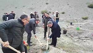 KASİAD Hatıra Ormanı ile Karbon ayak izine katkıda bulunacak...