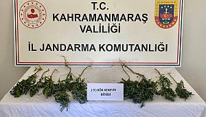 Evinde uyuşturucu yetiştirdi gözaltına alındı