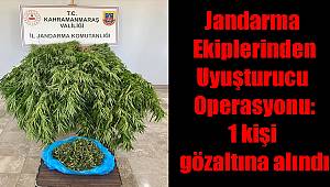Jandarma Ekiplerinden Uyuşturucu Operasyonu: 1 kişi gözaltına alındı