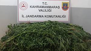 Kahramanmaraş’ta uyuşturucu operasyonu: 2 gözaltı